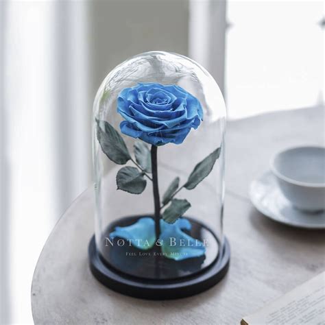 Buy Light Blue Rose In A Glass Dome Premium Notta And Belle