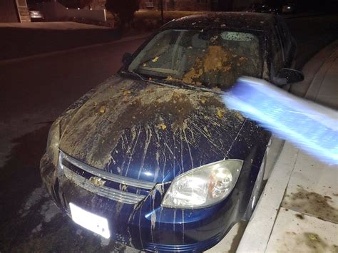 Community Helps Teen After Vandalized Car The Daily Universe