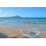 Oualie Beach Resort Nevis – Sackville Travel Services