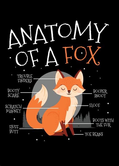 Anatomy Of A Fox Cute Fox Poster Picture Metal Print Paint By