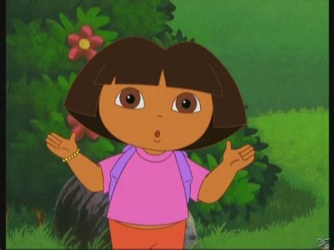 Dora The Explorer Go Diego Go Dora The Explorer Dora And Friends Go