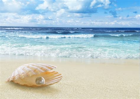 Pearl On The Beach Stock Image Image Of Jewelry Leisure 40472707