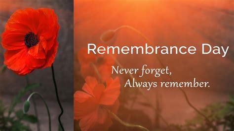 Remembrance M101119 Remembrance Day Images Remembrance Day Quotes