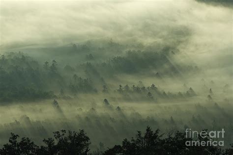 Trees In The Clouds Photograph By Itai Minovitz Fine Art America