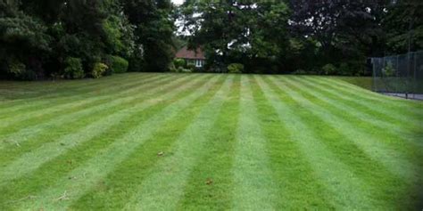 Lawn Mowing Service Hertfordshire And North London