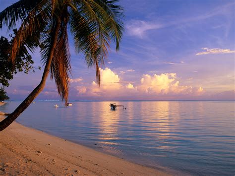 Top Beaches The 50 Best Beaches In The World Pulau Bailiku