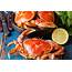 FDA And CDC Warn People To Stay Away From Imported Crab Meat  Cookistcom