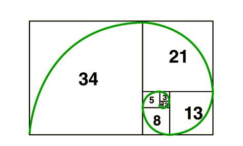 Understanding Fibonacci Numbers Testbook