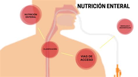 NUTRICIÓN ENTERAL by Yanne Garcia Vilchis on Prezi