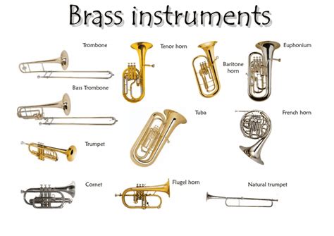 The 4 Main Types Of Music Instruments Explained By Pros Omari Mc 2022