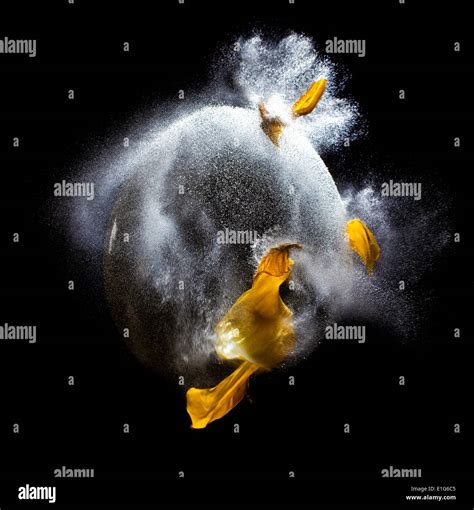 Explosion Of Balloon Full Of Water High Speed Photography Stock Photo