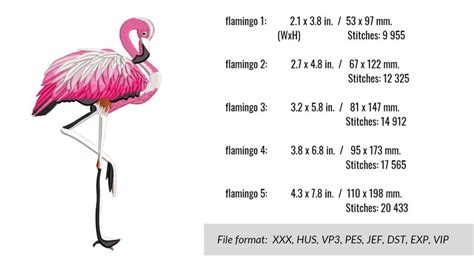 Flamingo Machine Embroidery Design 5 Sizes Bird Embroidery Etsy