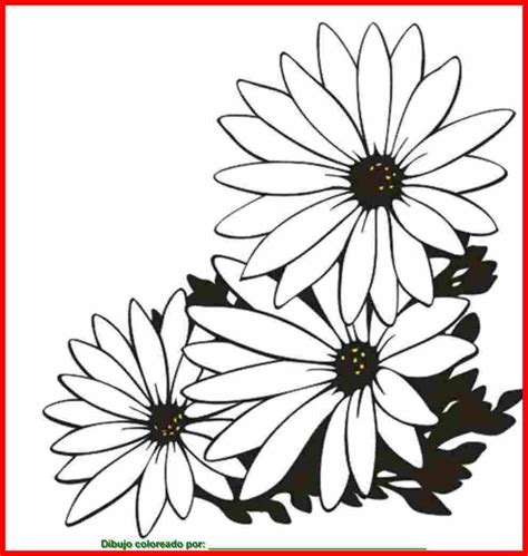 Imagens Flor Para Imprimir