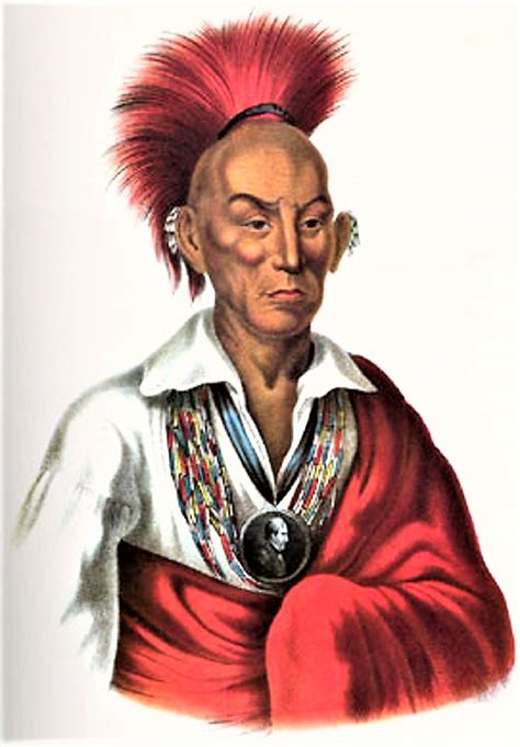 Native Peoples In North America Black Hawk Makataimeshekiakiak Or