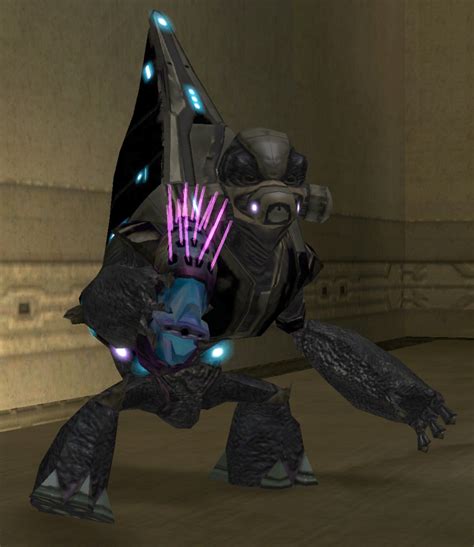 Unggoy Defense Force Halo Fanon Fandom Powered By Wikia