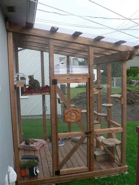 You'll find plans for the traditional cat tree but also for a cat condo, house, and simple stand. Fancy Cat Enclosure Ideas You Might Like - meowlogy
