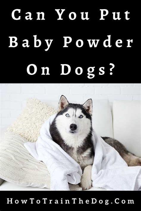 People tend to follow home made ubtan or bathing powder or mix for babies. Can You Put Baby Powder On Dogs? Here's what Experts Think ...