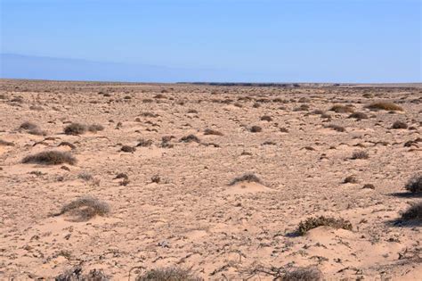Dry Desert Landscape Stock Photo Image Of Landscape 234685904
