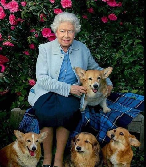 The Queen And Her Corgis Great Pet Living