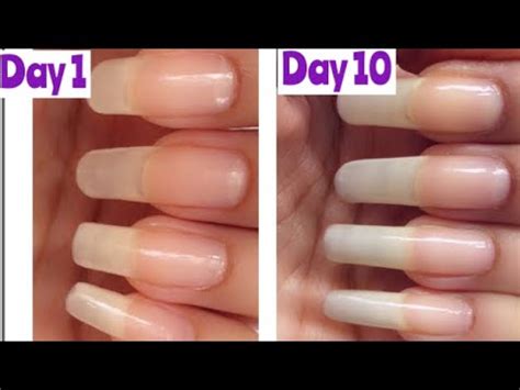 There aren't many products that deserve my holy grail status, but this did more than work! How To Grow Your Nails Really Fast and Long In Just 10 ...