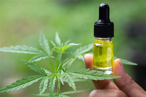 It is one of 113 identified cannabinoids in cannabis plants, along with tetrahydrocannabinol (thc). 5 Health Benefits and Uses Of Full Spectrum CBD Oil - 2021 ...