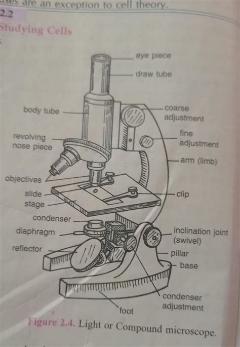 Can Someone Can Send Me Detailed Diagram Of This Compound Microscope