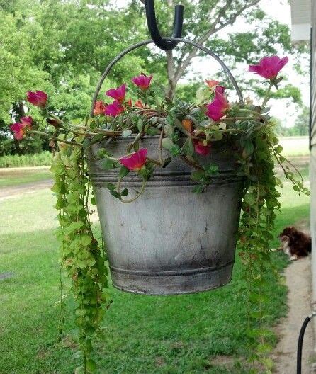 Antique Bucket With Flowers You Can Garden In Just
