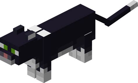 Filetuxedo Cat Je3png Minecraft Wiki，最详细的官方我的世界百科