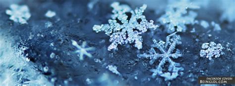 Pretty Snow Flakes Facebook Cover Timeline Banner Photo