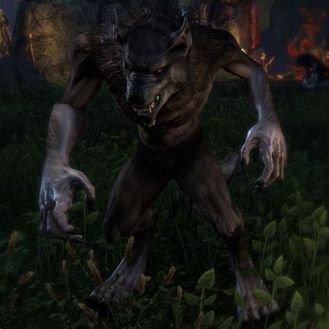 Onlinewerewolf Transformation The Unofficial Elder Scrolls Pages Uesp