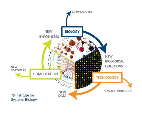 What Is Systems Biology Systems Biology Initiative