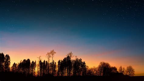 Wallpaper Id 12778 Starry Sky Trees Sunset Night Forest 4k Free