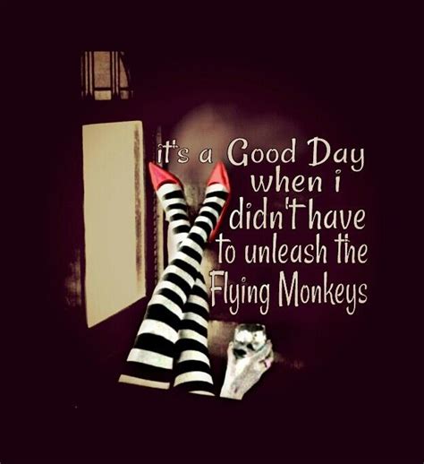 Its A Good Day When I Didnt Have To Unleash The Flying Monkeys