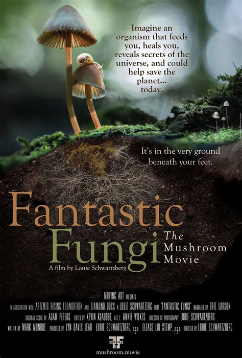 Fantastic Fungi Limits Of The Imagination Film Series