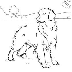 Select from 35870 printable crafts of cartoons, nature, animals, bible and many more. Dog Coloring Pages from DogChannel.com | Dog coloring page ...