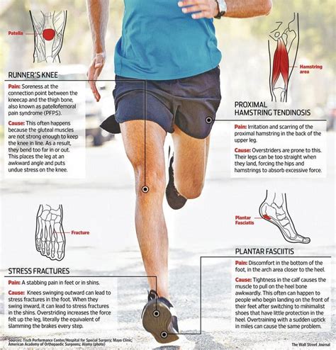 The Wall Street Journal On With Images Gluteal Muscles Fitness