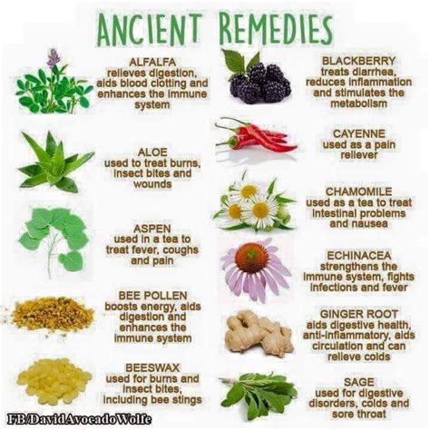 Need Learn Natural Herbal Remedies Herbalism Herbs For Health