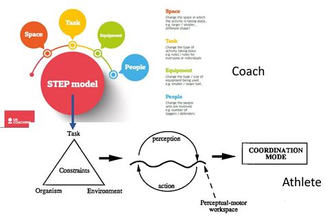 Observational modeling effects for movement dynamics and movement outcome measures across differing task constraints: Newell's Constraints : Teacher Constraints Vs Skill Action ...