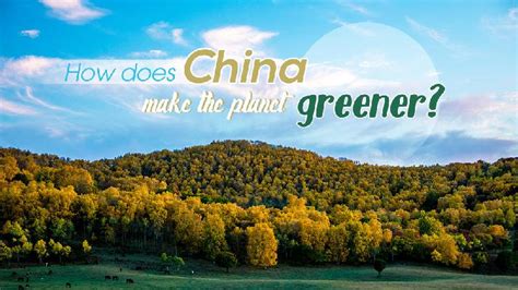 National Tree Planting Day How Does China Make The Planet Greener Cgtn
