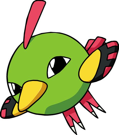 Gen 8 Bird Pokemon
