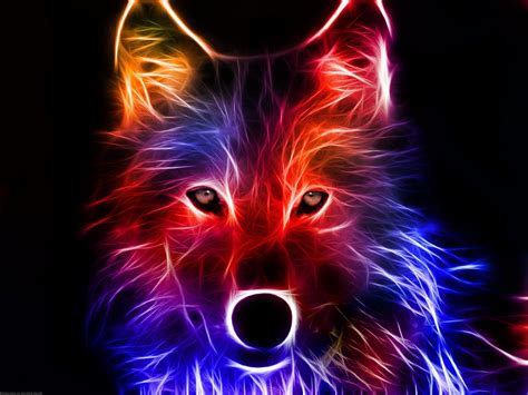 Feel free to download, share. Neon Animals Wallpapers - Wallpaper Cave