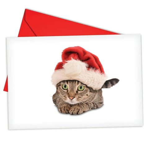 B6687axsg Santa Cats Christmas Cards Box Set Of 12 Humor Merry