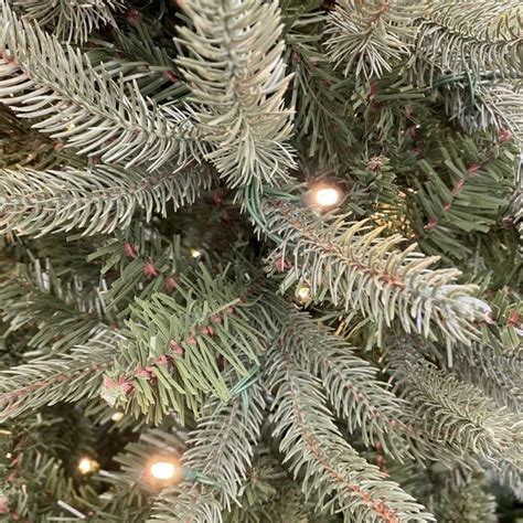 75ft Slim Washington Valley Spruce Pre Lit Puleo Christmas Tree At63