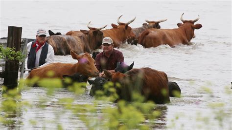 13 Devastating Photos From Texas Floods