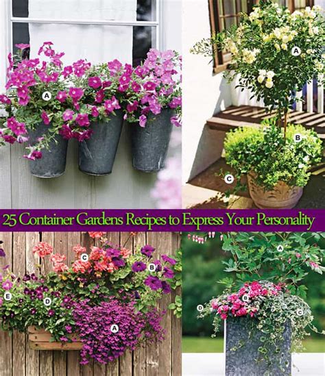 25 Container Gardens Recipes To Express Your Personality