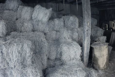 Barn Full Of Good Hay Thinking Of India Bedlam Farm