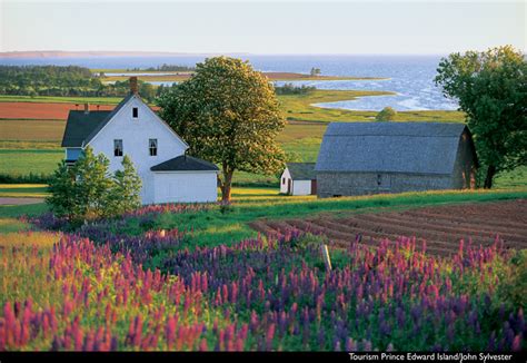 There are the purists who've read each of the eight original. Be Book Bound: Anne of Green Gables April: A Tour of Prince Edward Island