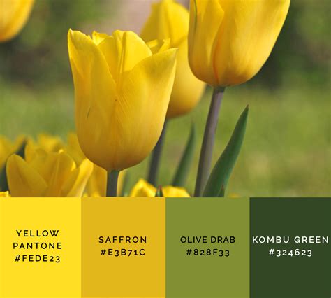 99 Shades Of Yellow Color With Names Hex Rgb And Cmyk 2023 • Colors