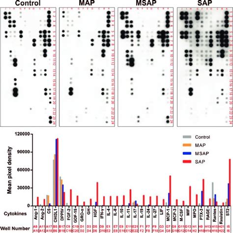 The Differential Expression Of 30 Cytokines Associated With Ap Screened