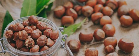 Oregon Grown Hazelnuts Since 1957 Ken And Junes Hazelnuts
